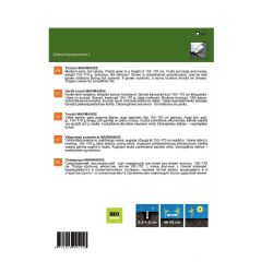 Sēklas tomāti marmande