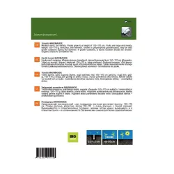 Sēklas tomāti marmande