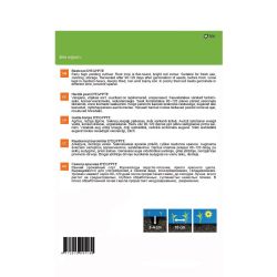 Sēklas bietes egipski