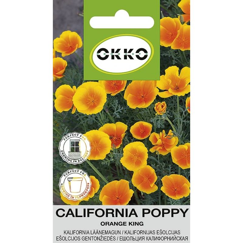 Sēklas ešolcijas orange king