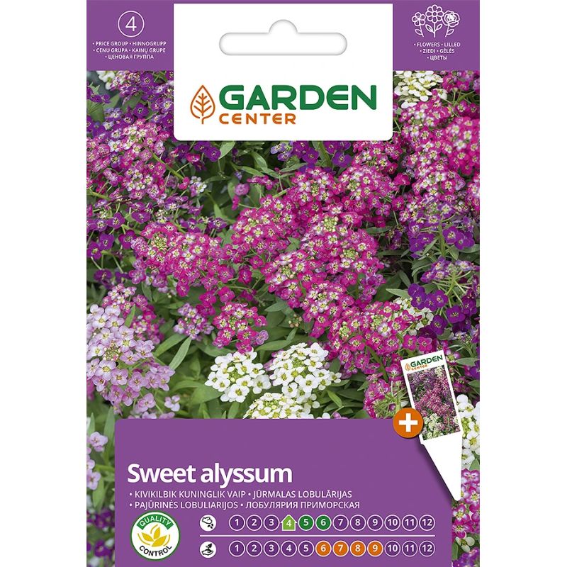 Puķu sēklas jūrmalas sudrabzālīte mais.