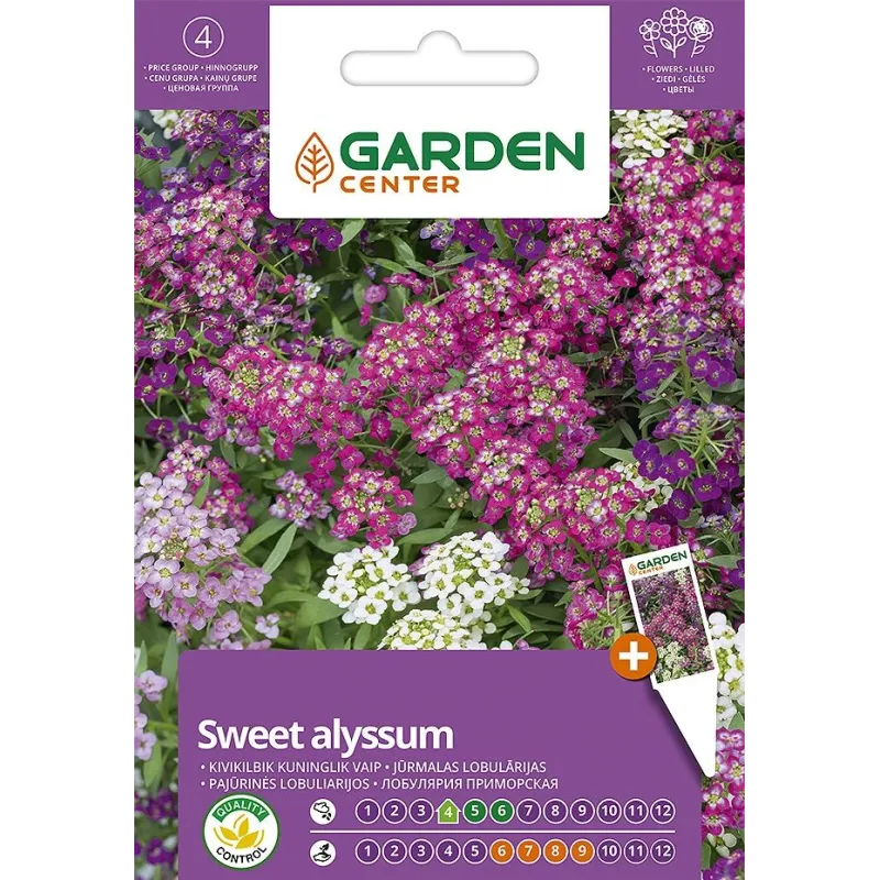 Sēklas Garden Center jūrmalas sudrabzālīte, 0.5 g