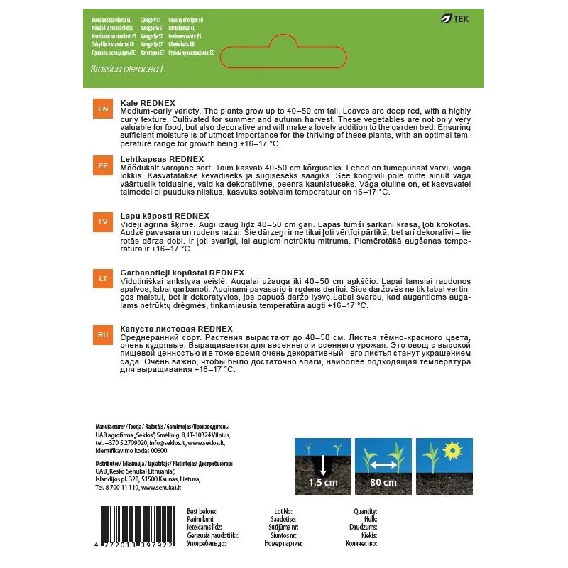 Sēklas Garden Center, kale kāposti REDNEX, 1 g