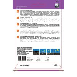 Sēklas ziedu akmenssēkles akila purple5s