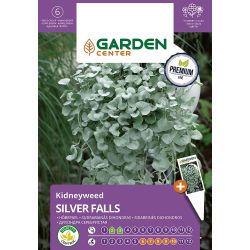 Sēklas zied dihondra sud silver falls 5s