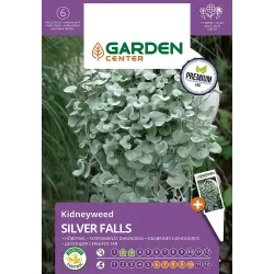 Sėklos Garden Center dichondra SILVER FALLS, 5 vnt.