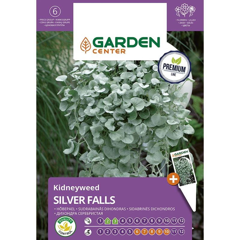Sēklas zied dihondra sud silver falls 5s