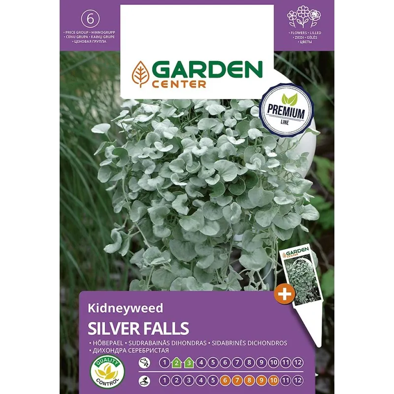 Sēklas Garden Center dihondra SILVER FALLS, 5 gab.