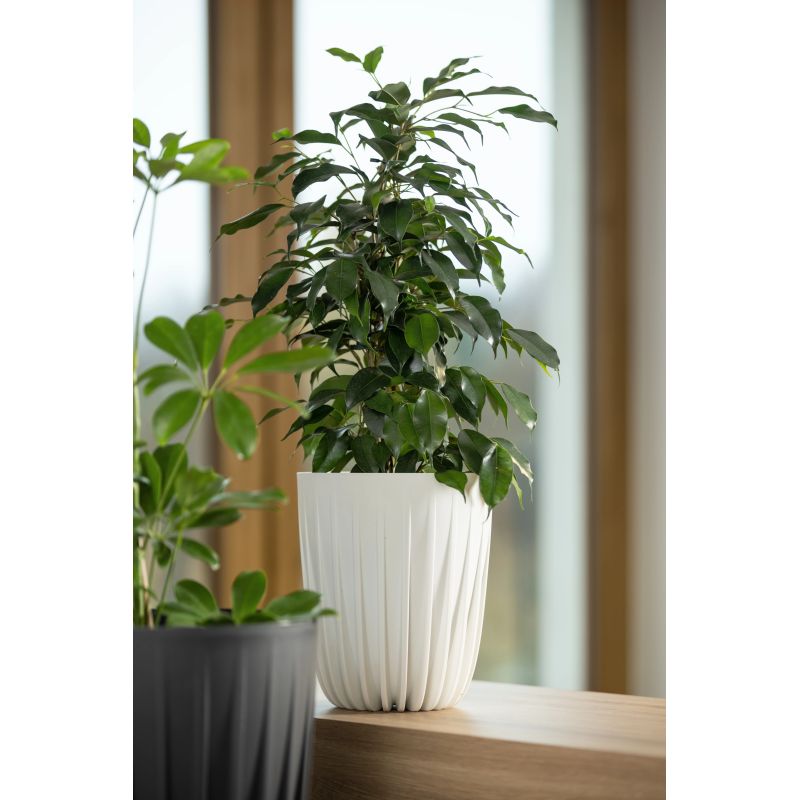 Puķupods pl. mira recycled 916-05 390