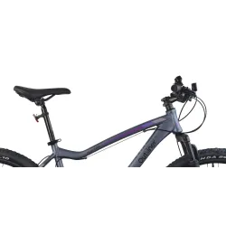 Jalgratas mägi- Outliner, 29 , hall v.-violetne v.