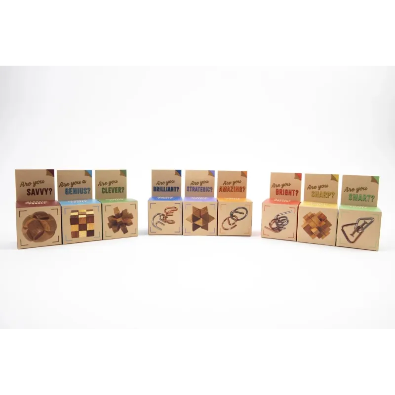 RECENT TOYS Loģikas spēle Are You Series