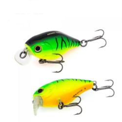 Wobbler Akara Babbler A68