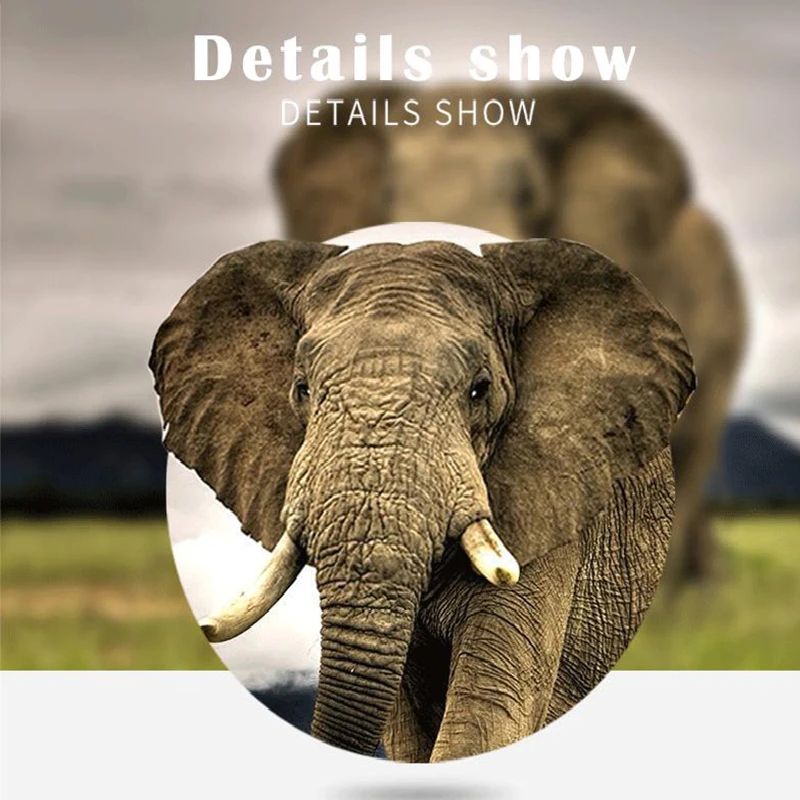 Binoklis Imaisen 10x42 HD mitruma izturīgs