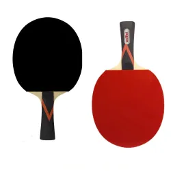 Lauatennisereket koos Case Aolilai Team 2023 mänguga