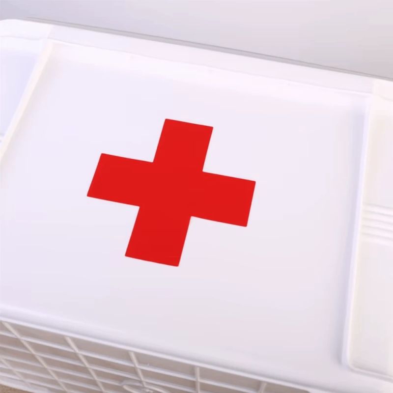 Medicīnisko zāļu uzglabāšanas kaste KASMAN Maza 23.5x17x13.5cm