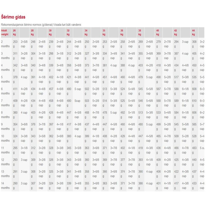 Barība kucēniem royal canin maxi 4kg