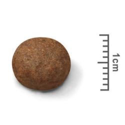 Barība kucēniem royalcanin medium 4kg