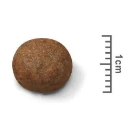 Sausā suņu barība Royal Canin Puppy Medium Puppy, vistas gaļa-cūkgaļa, 4 kg