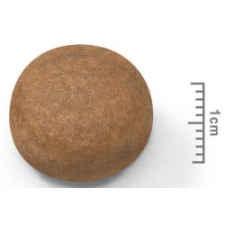 Barība suņiem royalcanin maxi adult 4kg