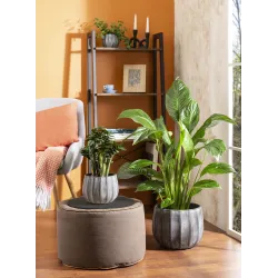 Lillepott Scheurich 67958, keraamiline, hall