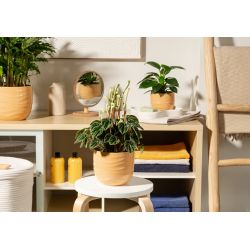 Puķpods keramika 969-13 yellow beach d13