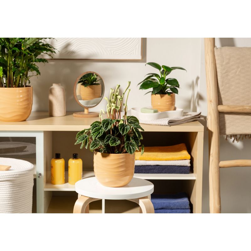 Puķpods keramika 969-13 yellow beach d13