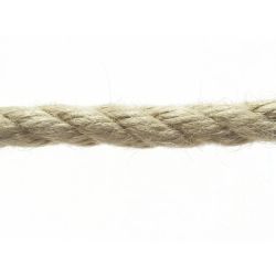 Virve Posamo 10 mm, 100 m, sintētiskās šķiedras