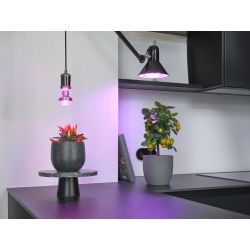 Lemputė LED Osram E27 20W 650lm
