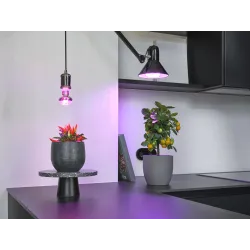 Augalų auginimo lemputė Osram LED, E27, balta sp., E27, 20 W, 650 lm