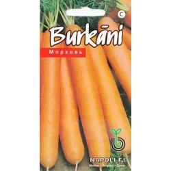 Семена Kurzemes sēklas, морковь NAPOLI F1, 1 г