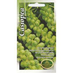 Sēklas kāposti briseles casiopea