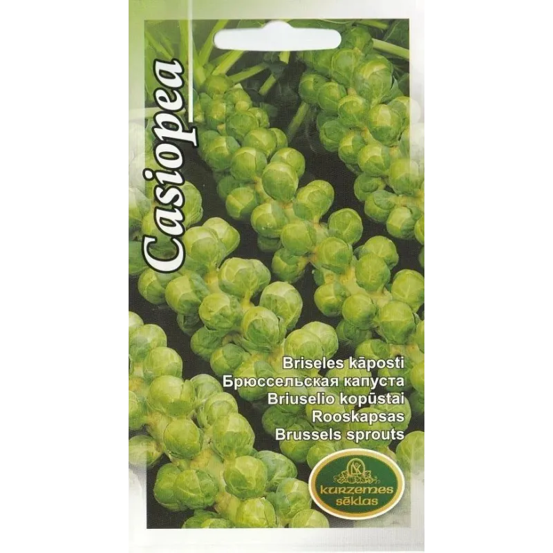 Sēklas Kurzemes sēklas, kāposti Casiopea, 2 g