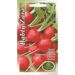 Sēklas redīsi babty žara