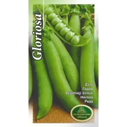 Sēklas Kurzemes sēklas, zirņi Peas Gloriosa, 15 g