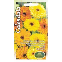 Sēklas Kurzemes sēklas klinģerītes Calendula Seeds, 5 g
