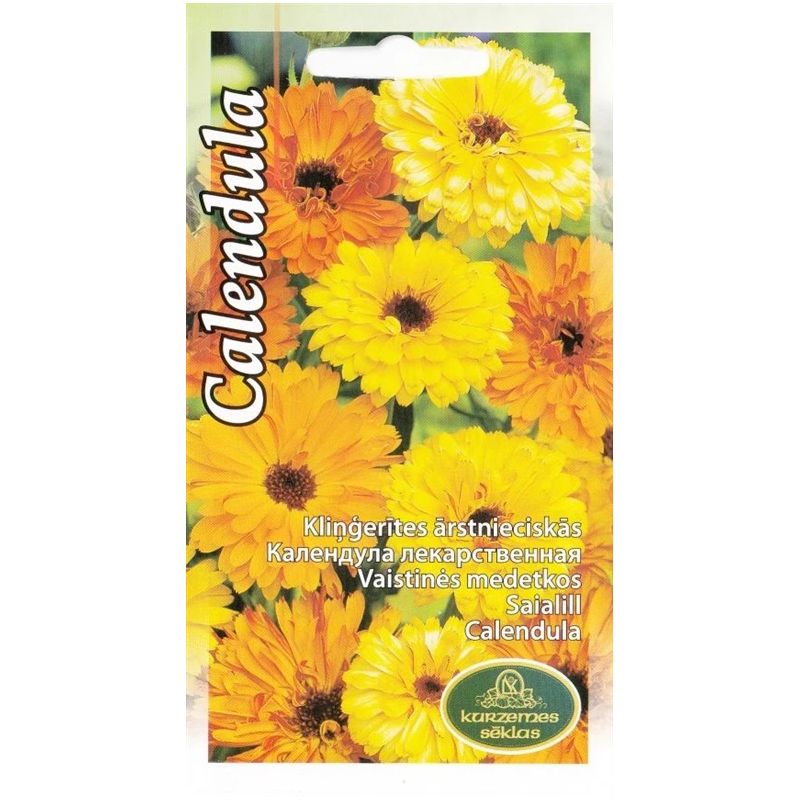 Sēklas kliņģerītes ārstnieciskas