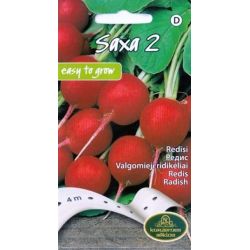 Sēklas redīsi saxa 2