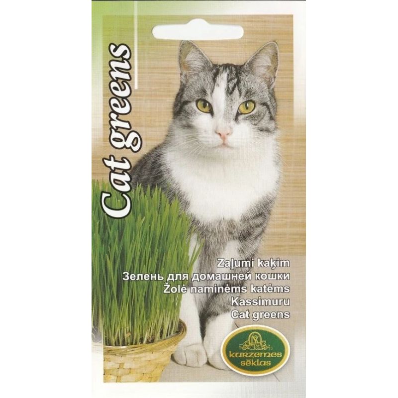 Sēklas zaļumi kaķim 20g