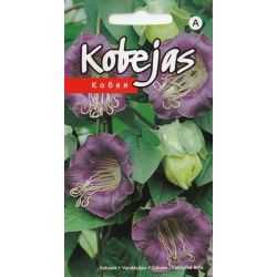 Sēklas kobejas violetas