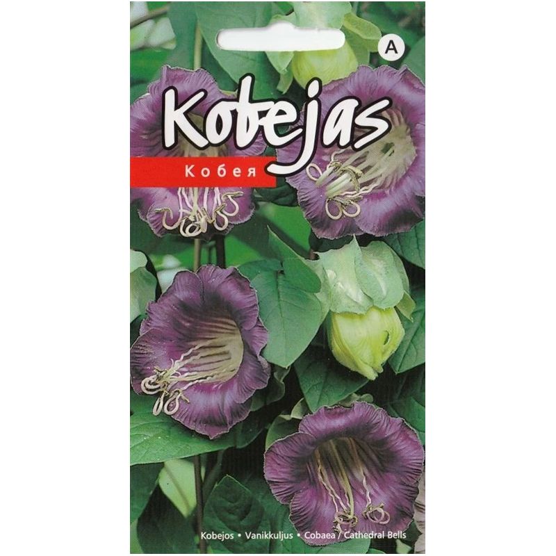 Sēklas kobejas violetas