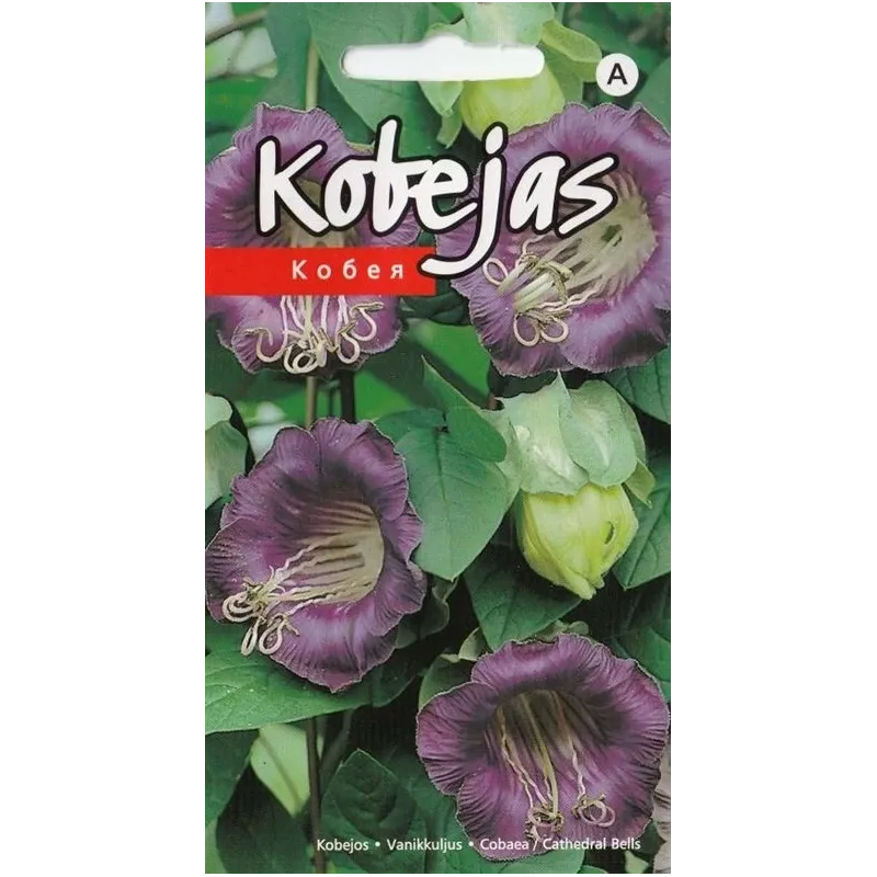 Sēklas kobejas Purple Seeds, 3 g