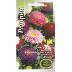 Семена Kurzemes sēklas астры Pompon, 0.5 г