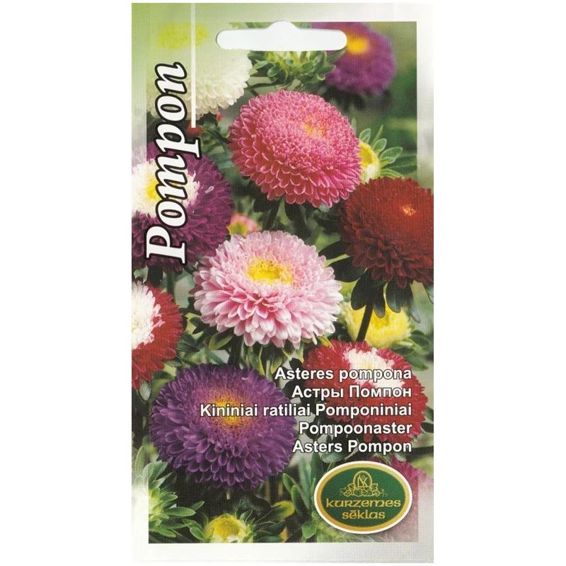Sēklas astres pompona jauktās