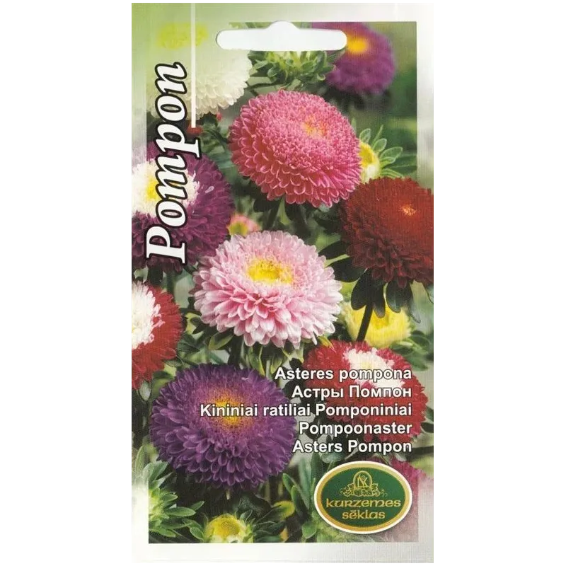 Sēklas Kurzemes sēklas asteres Pompon, 0.5 g