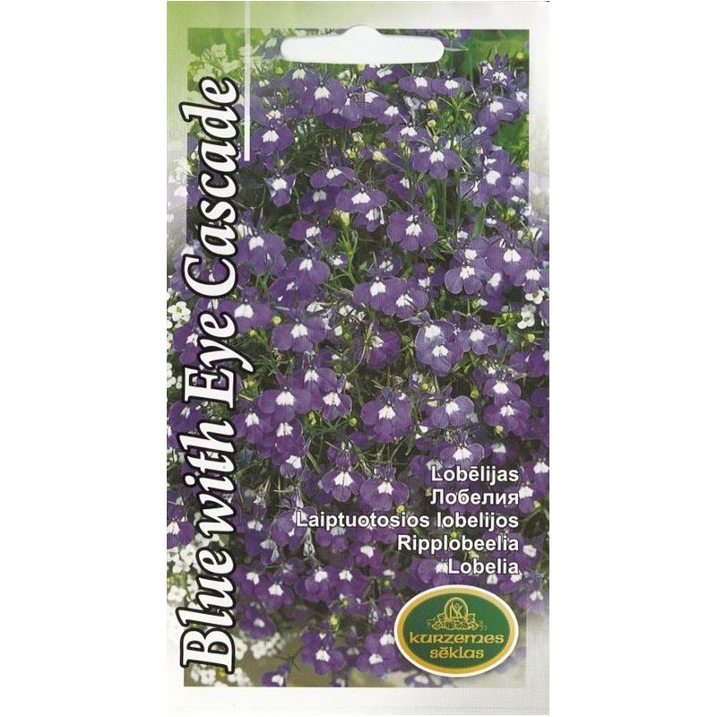 Sēklas lobēlijas blue with eye cascade