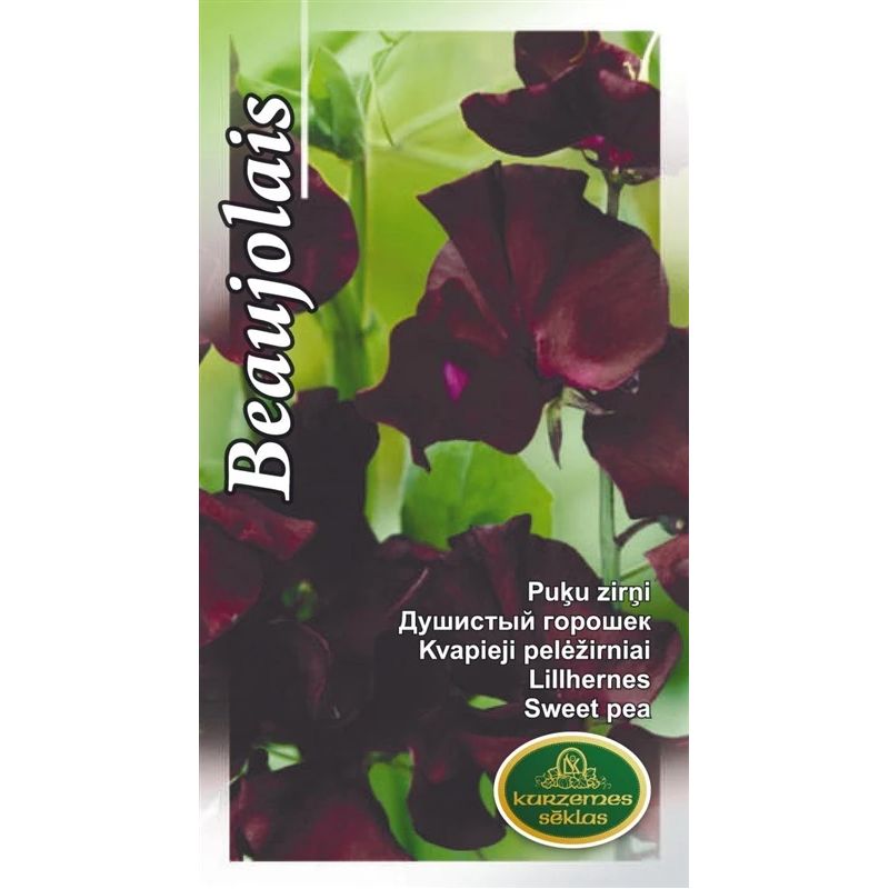 Sēklas puķu zirņi spencer beaujolais