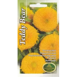 Sēklas Kurzemes sēklas saulespuķes Teddy Bear, 5 g