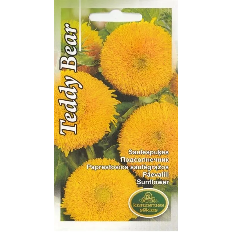 Sēklas Kurzemes sēklas saulespuķes Teddy Bear, 5 g