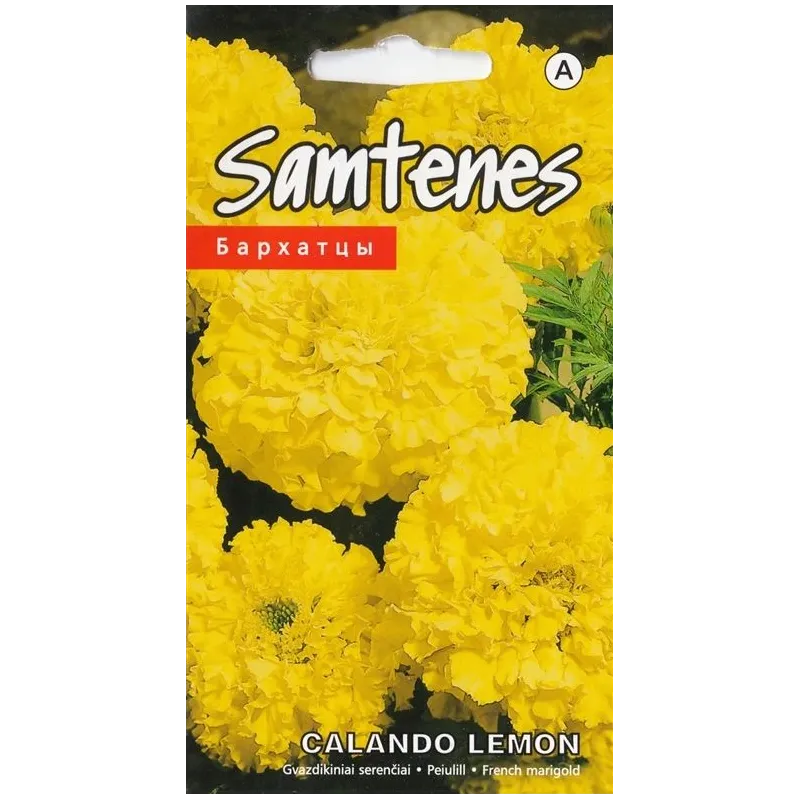 Sēklas Kurzemes sēklas samtenes Scalando Lemon, 4 g