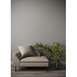 Šķidrās tapet d60 gaiši pel.-spīd0.844kg